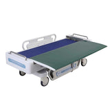 Electric displacement vehicle